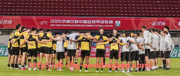 问鼎娱乐官网-法甲外援合同详解及转会策略解析